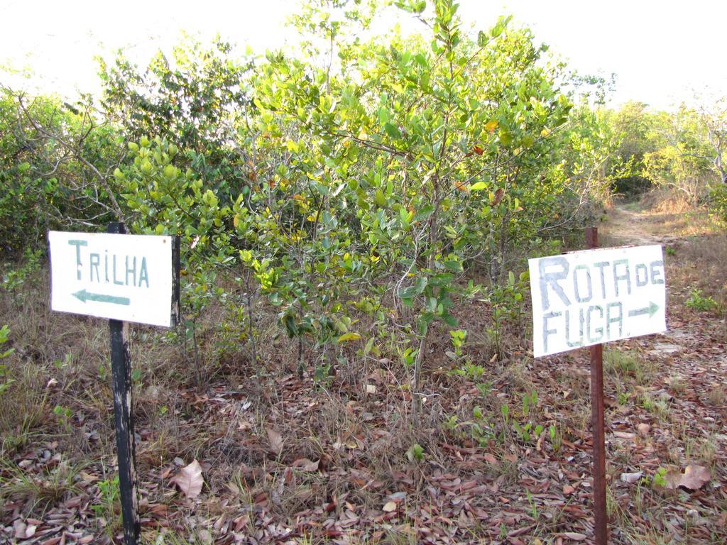 Hotel Fazenda Arara Azul Carolina  Dış mekan fotoğraf