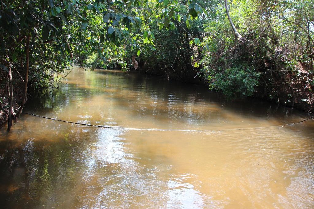 Hotel Fazenda Arara Azul Carolina  Dış mekan fotoğraf
