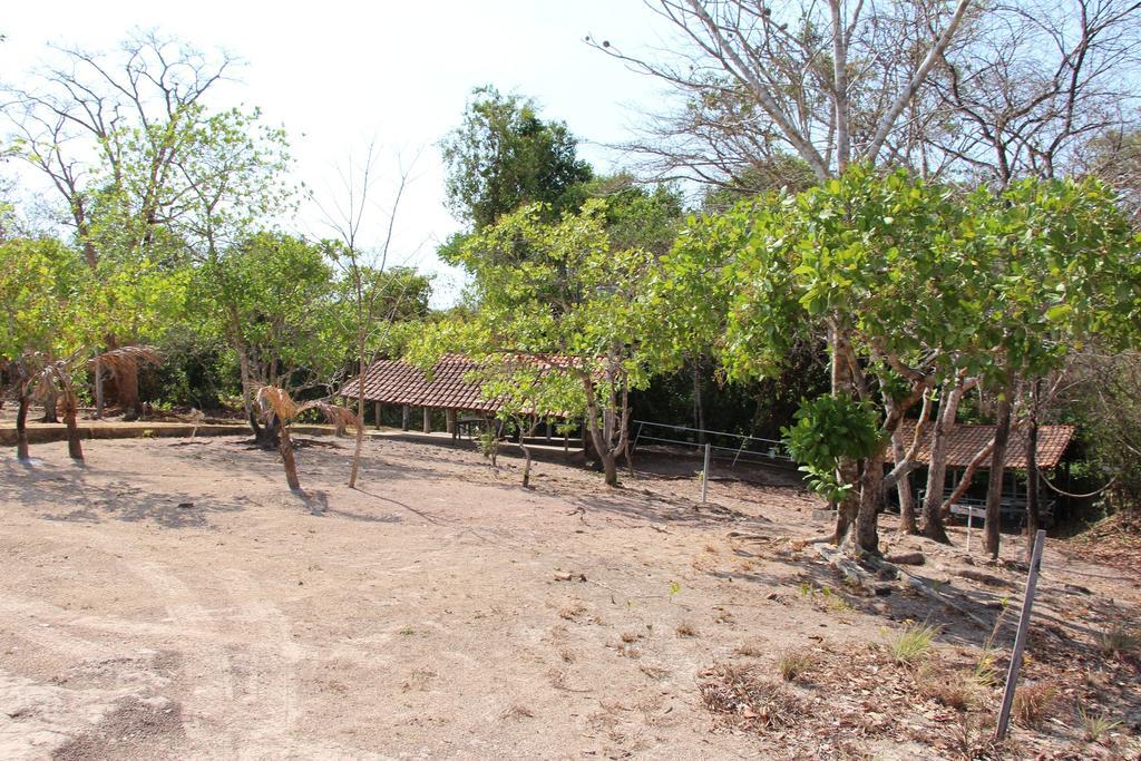 Hotel Fazenda Arara Azul Carolina  Dış mekan fotoğraf