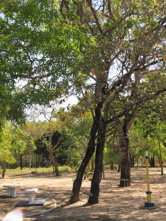 Hotel Fazenda Arara Azul Carolina  Dış mekan fotoğraf