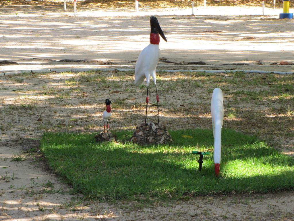 Hotel Fazenda Arara Azul Carolina  Dış mekan fotoğraf